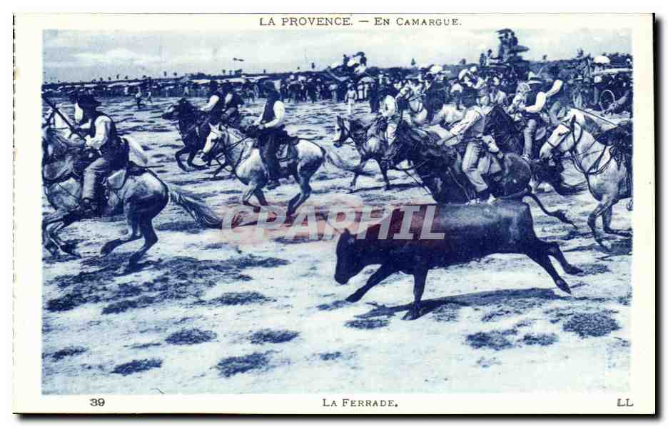 provence En Camargue CPA Taureaux la Ferrade