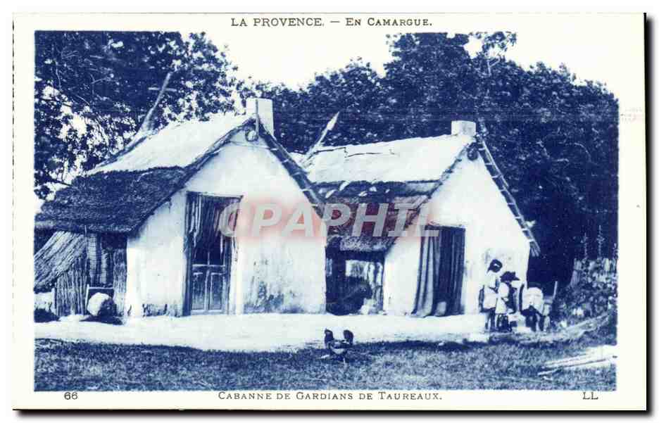 provence En Camargue CPA Taureaux Cabanne de gardians de taureaux