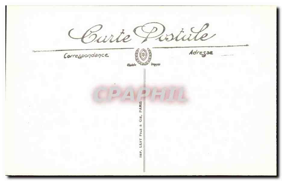 provence En Camargue CPA Taureaux Manade Viret Deux fameux taureaux cocardiers Le tigre et Cara Anche — Rückseite