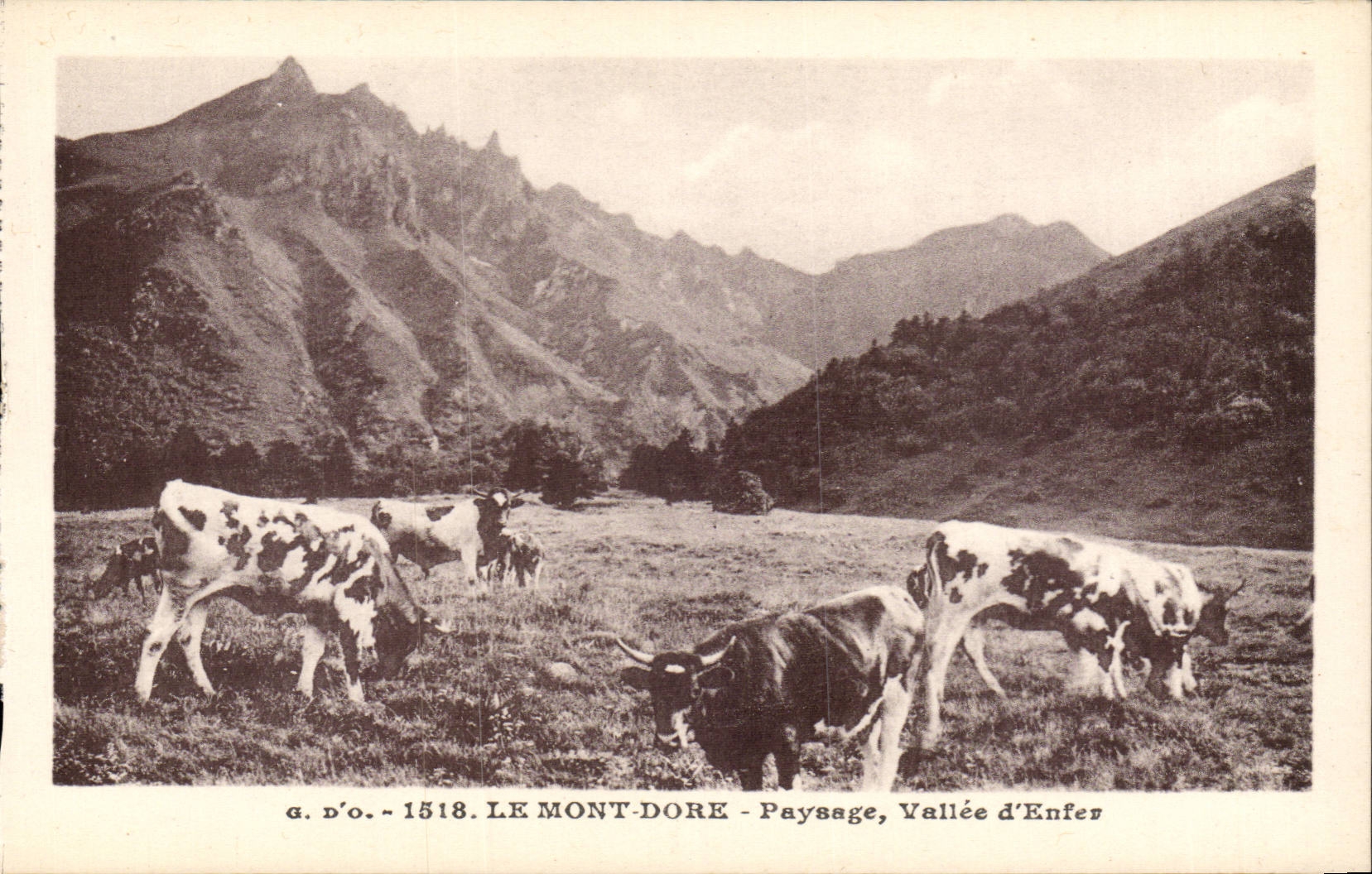 CPA Le mont Dore Paysage Vallee d'enfer (vaches)