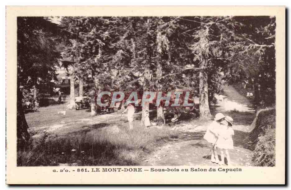 CPA Auvergne Mont Dore Sous bois au slaon du Capucin