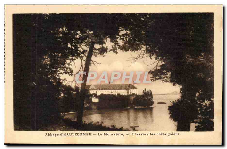 Abbaye d'HAUTECOMBE — Le Monastère, vu à travers les châtaigniers