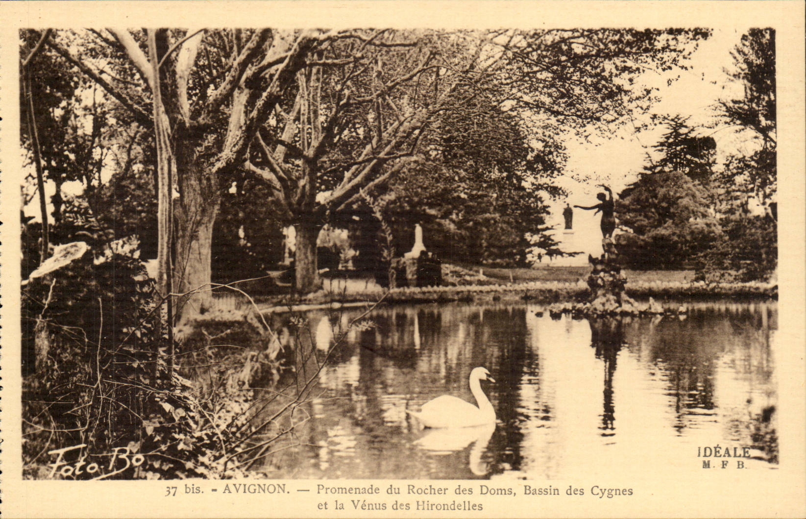 Avignon- Promenade du Rocher des Doms - Bassin des Cygnes - CPA 