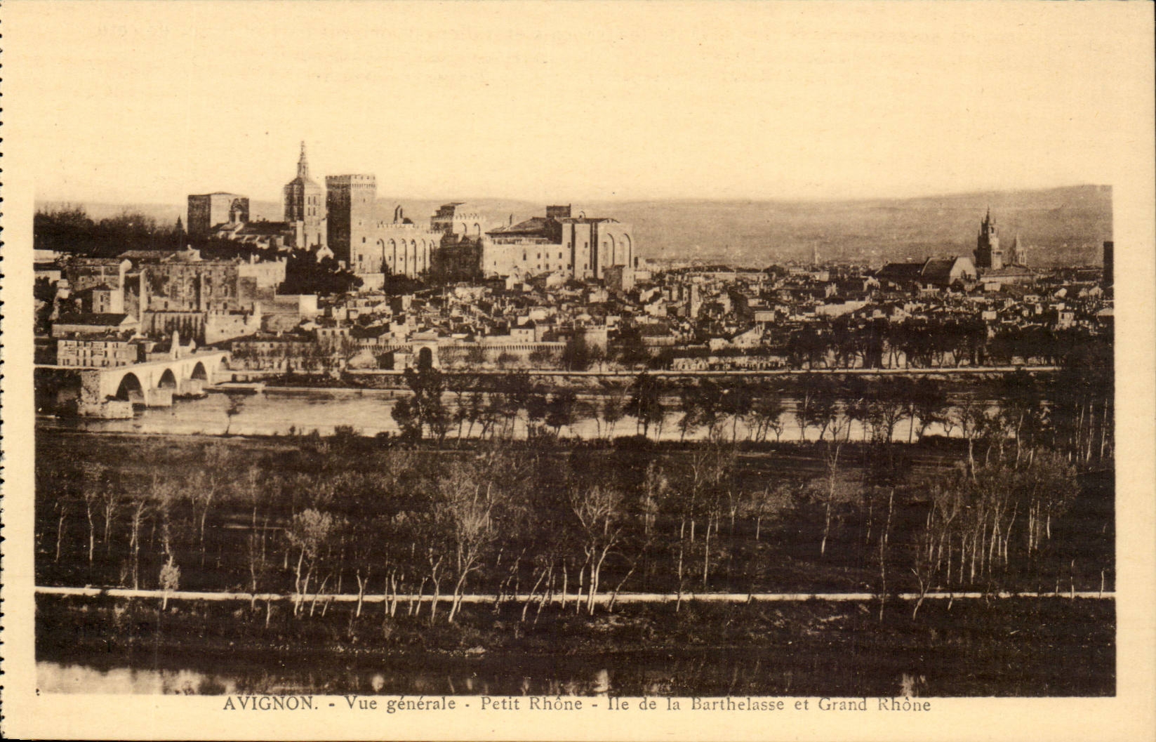 Avignon - Vue générale - Petit Rhône - Île de la Barthelasse et Grand Rhône