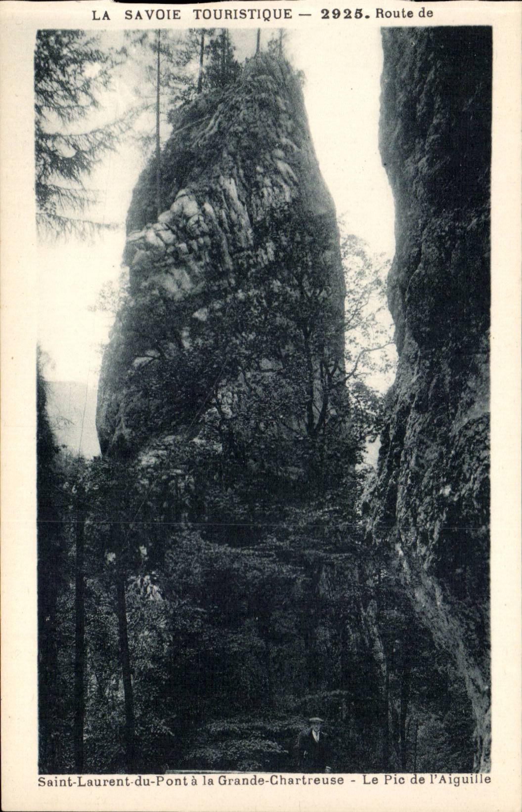 Route de St Laurent du Pont et la Grande Chartreuse - Le Pin d'Aiguille - CPA 