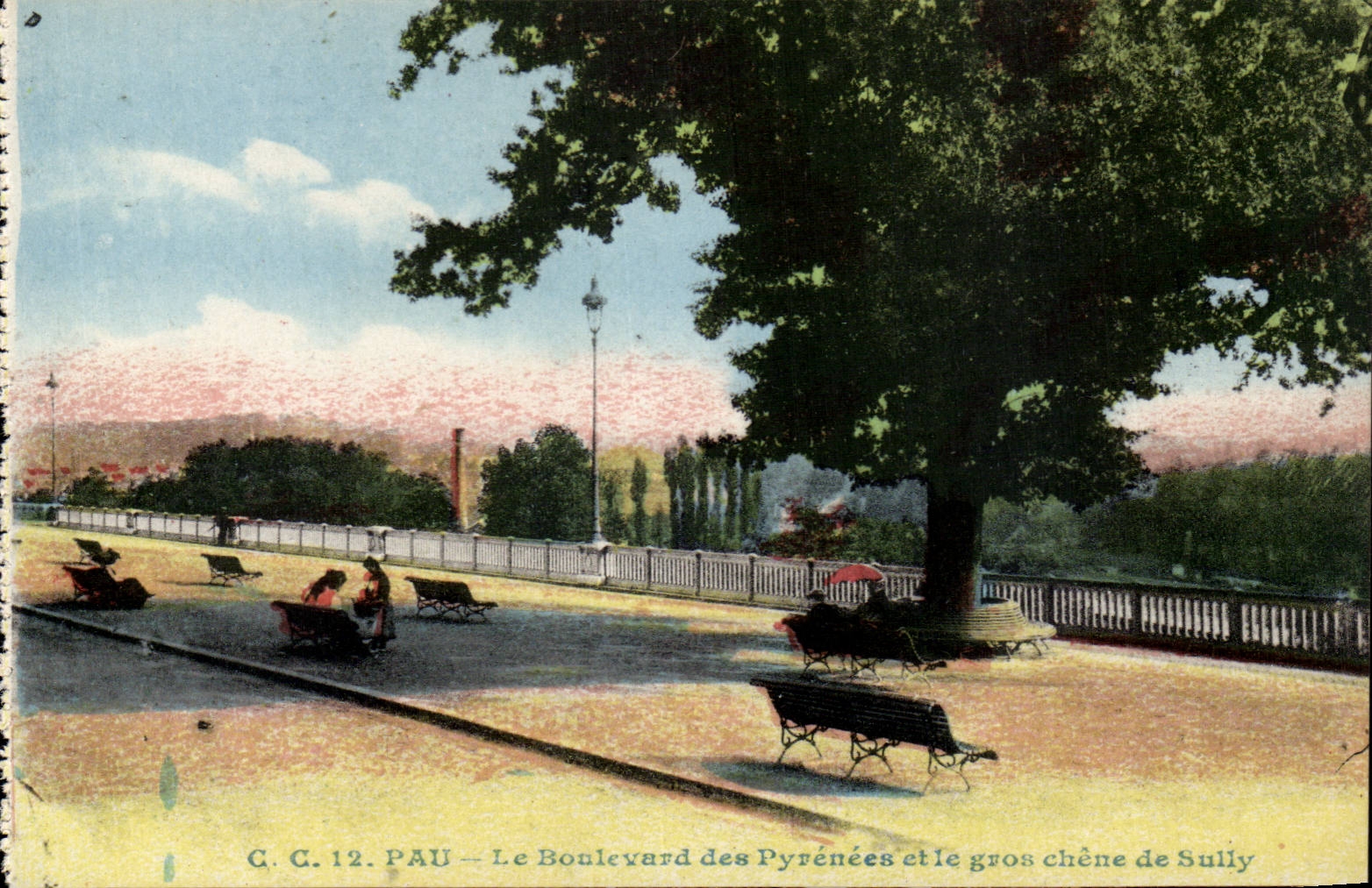Pau - Le Boulevard des Pyrenees et le Gros Chene de Sully - CPA 