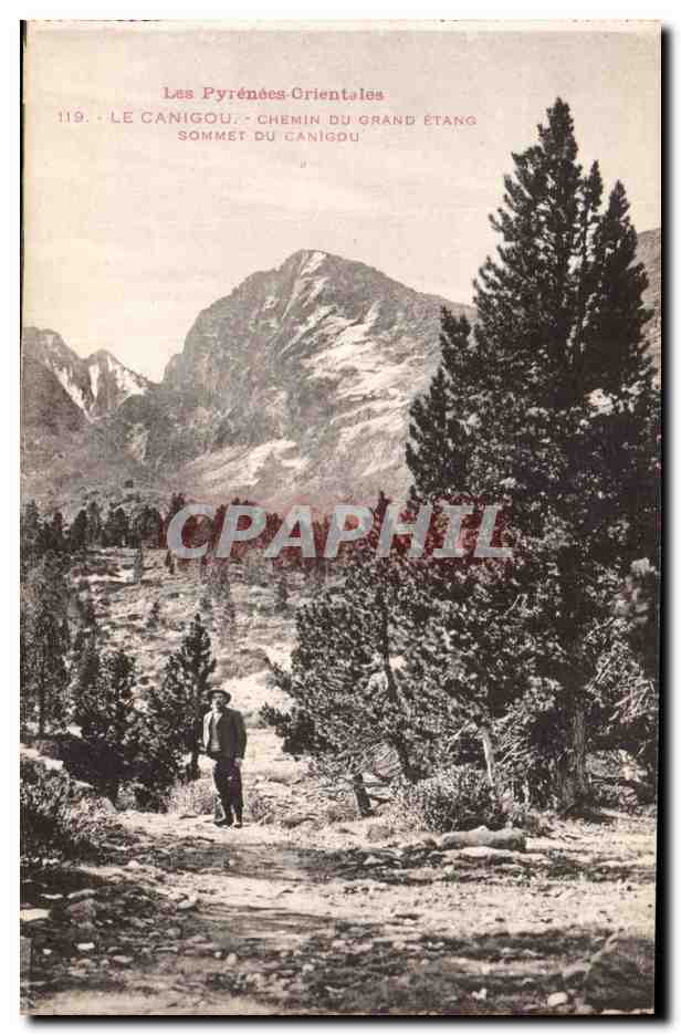 Le Canigou - Chemin du Grand Etang - CPA 