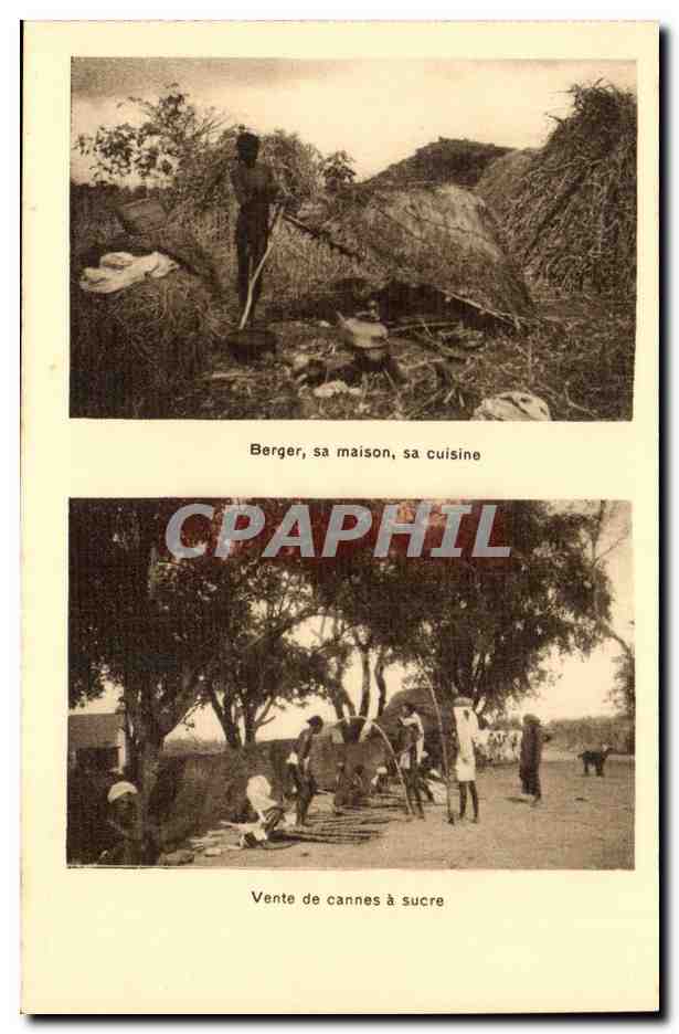 Inde - India - Mission Etrangeres - Coloniale - Berger sa Maison - Vente de cannes a sucre - CPA 