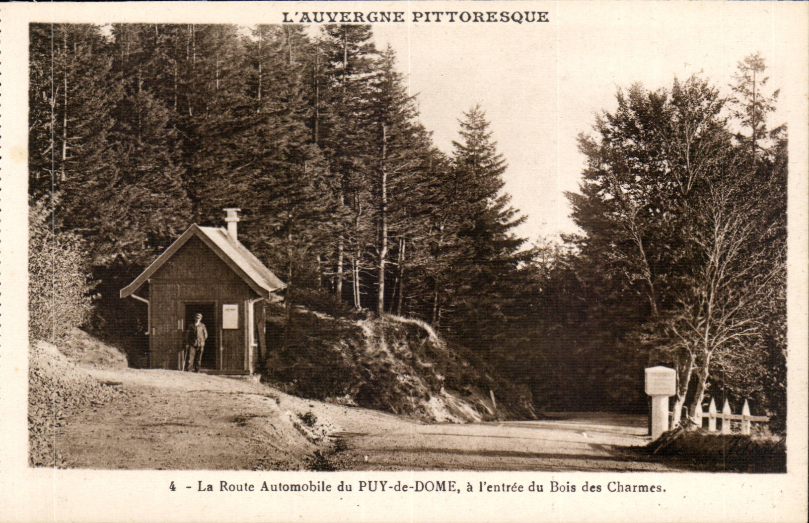 Route Automobile du Puy de Dome - A L'Entree de Bois des Charmes - L'Auvergne Pittoresque CPA 