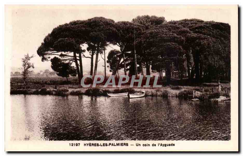 Hyeres les Palmiers - Un Coin de l'Ayguade - CPA 