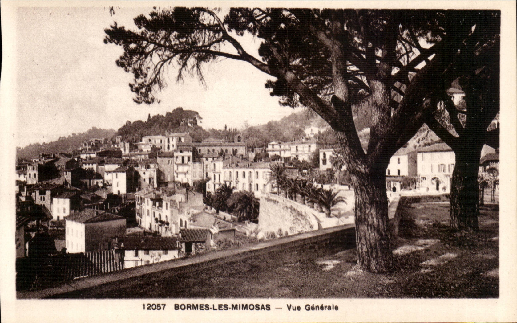 Bormes les Mimosas - Vue Generale - CPA 