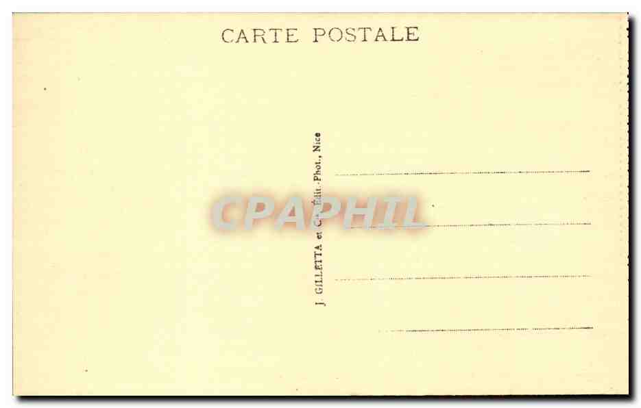 Monaco CPA Musee oceanographique Zoologique Ours blanc White bear Cachalots narval morse — Verso