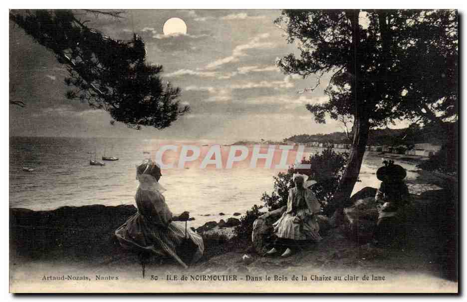 Ile de Noirmoutier - Dans le Bois de la Chaine au Claire de lune CPA 