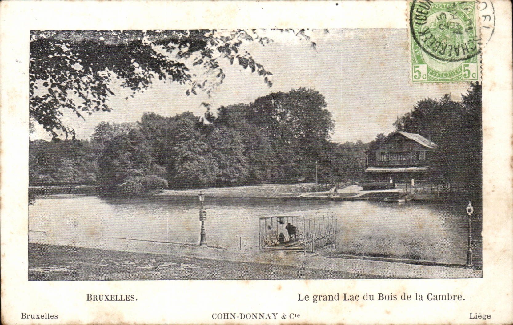 Belgique - Belgien - Bruxelles - Le Grand Lac du Bois de la Cambre CPA 