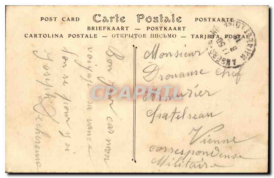Angers - Le Jardin des Plantes - LAllee des Serres - CPA  — Verso
