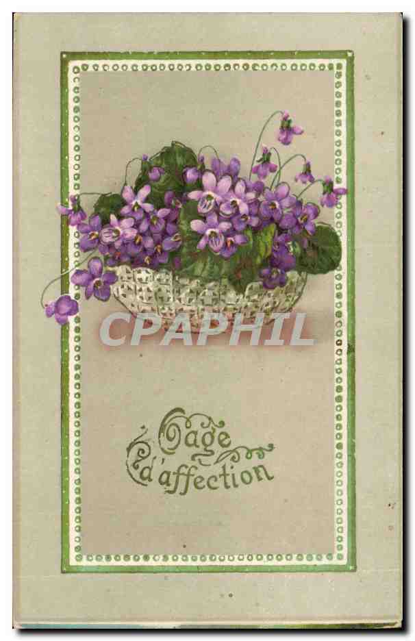 Fleurs - Flowers - sweet basket of violets CPA 