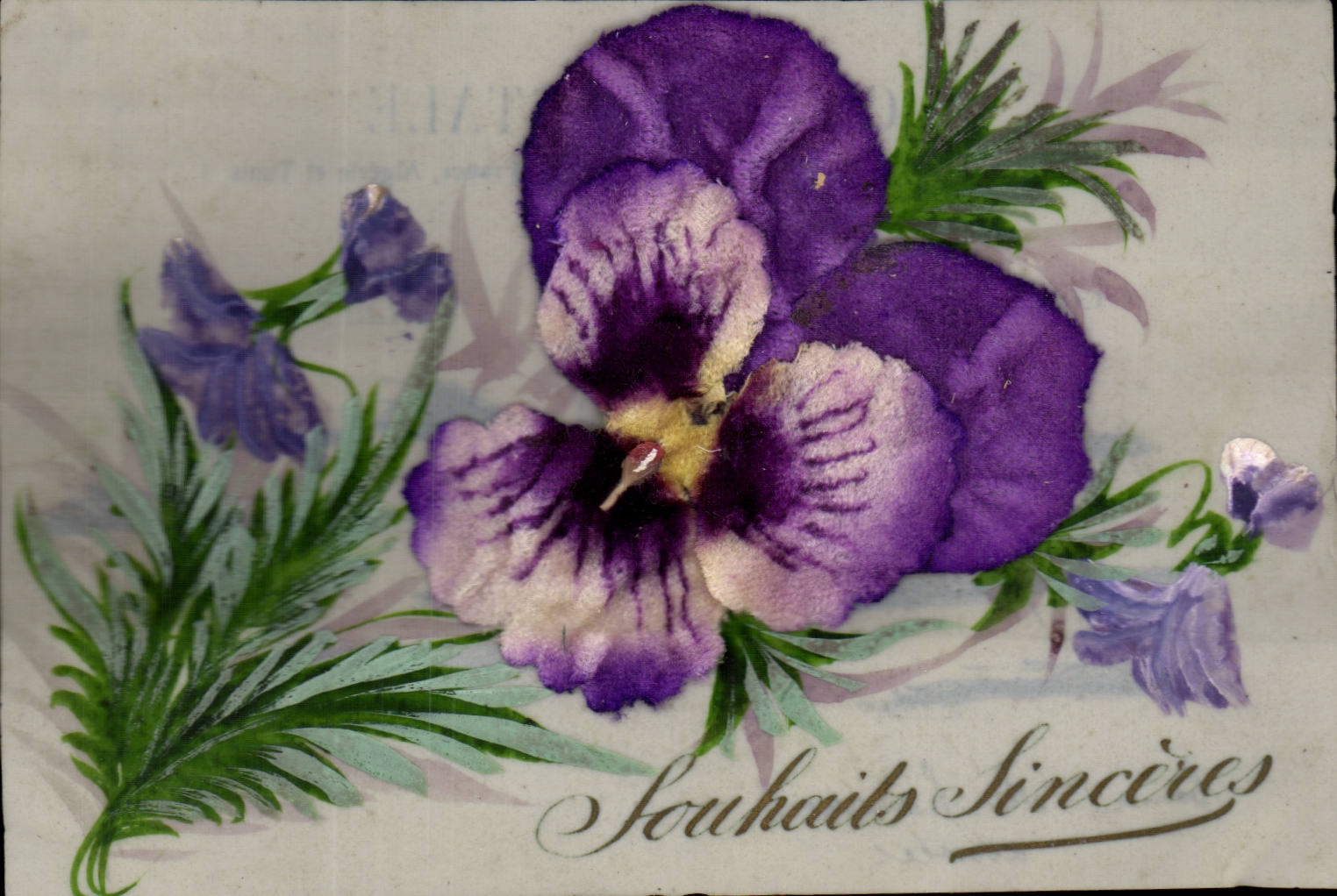 Pansies violettes — Souhaits Sincères — Carte postale française