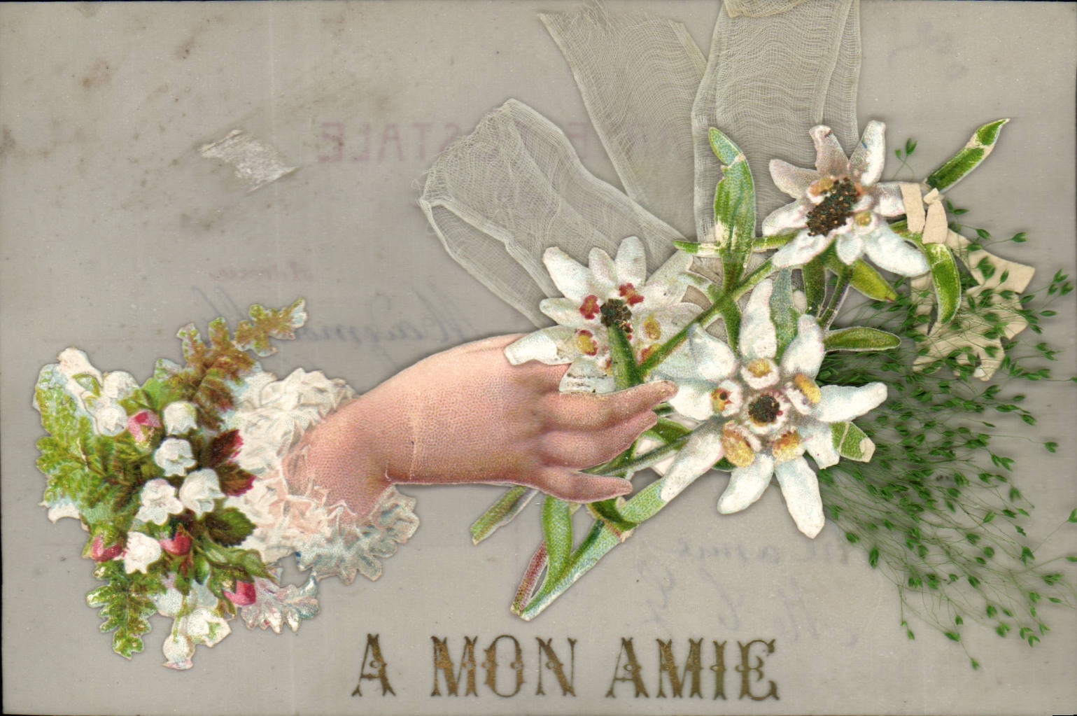Main offrant un bouquet d'edelweiss — A MON AMIE — éditeur inconnu