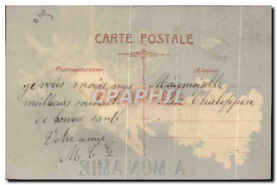 Main offrant un bouquet d'edelweiss — A MON AMIE — éditeur inconnu — Verso