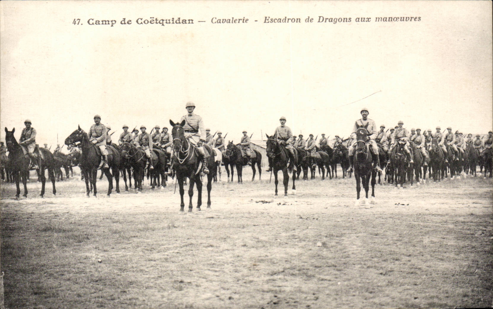 Camp de Coetquidan - Cavalerie - Escadron des Dragons aux Manoeuvres - Miitaria - cheval - CPA 
