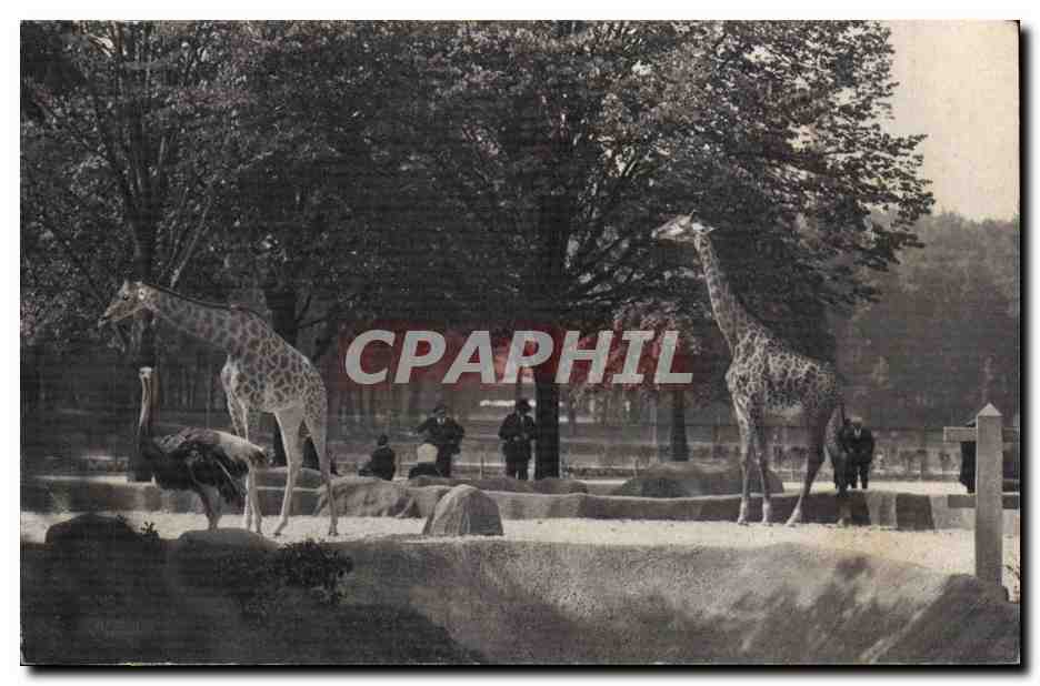 Paris - 12 - Paris Zoologique - Bois de Vincennes - National d'Histoire Naturelle - CPA 