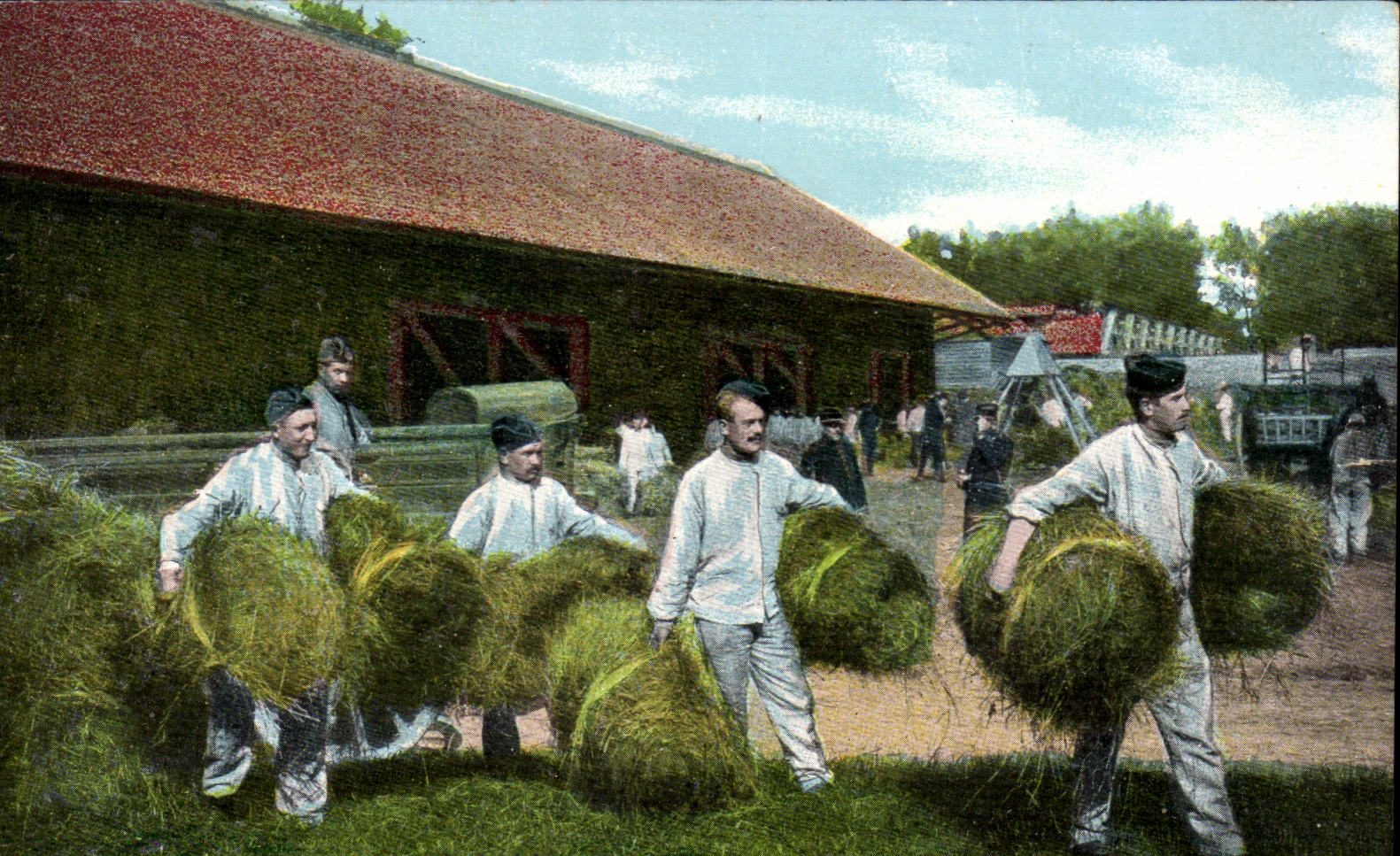 Agriculture - A la Ferme - La Paille - CPA (chevaux cheval)