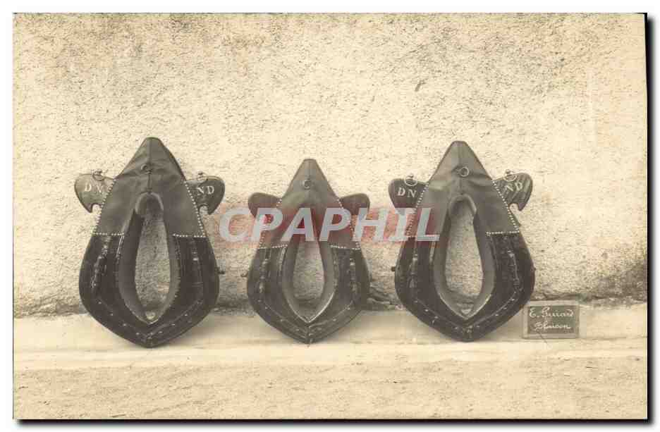 CPA Colliers Agriculture pour chevaux Cheval Chevaux Horse 