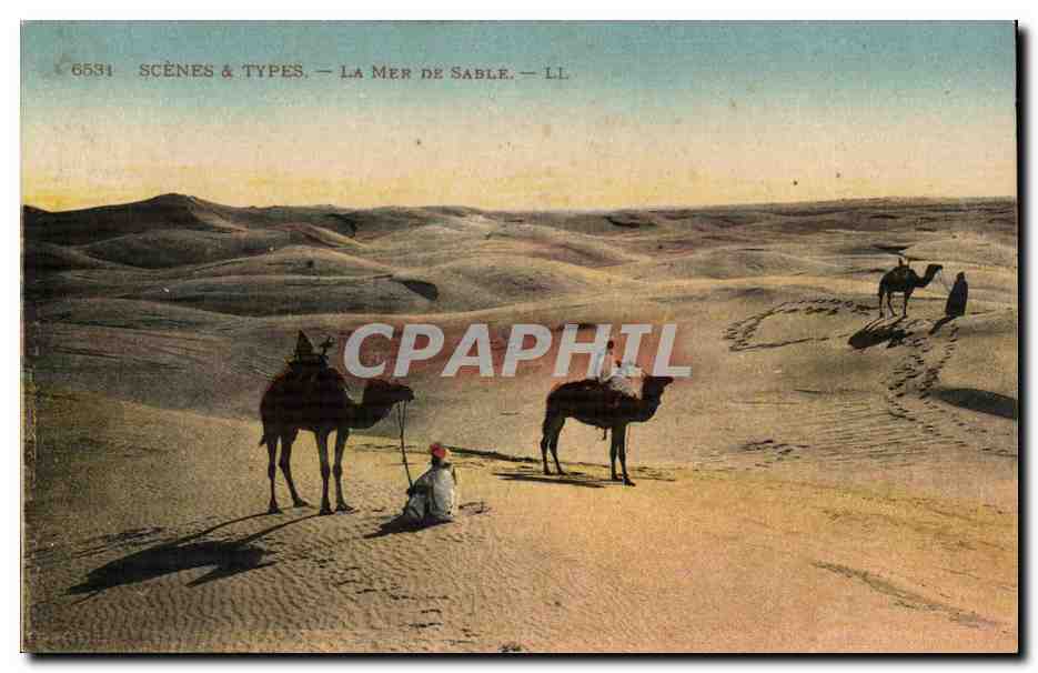 CPA Scenes et types La mer de sable (chameau camel)