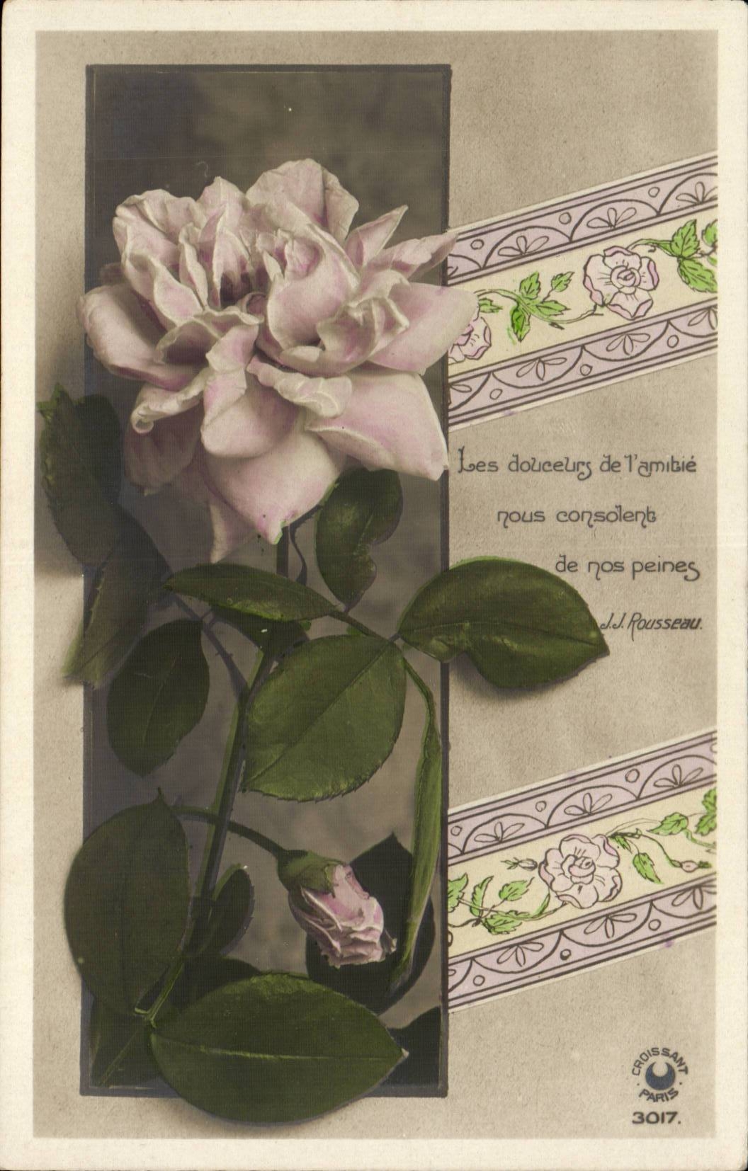 Fantaisie - Fleurs - Rose - Les Douceurs nous consoons CPA 