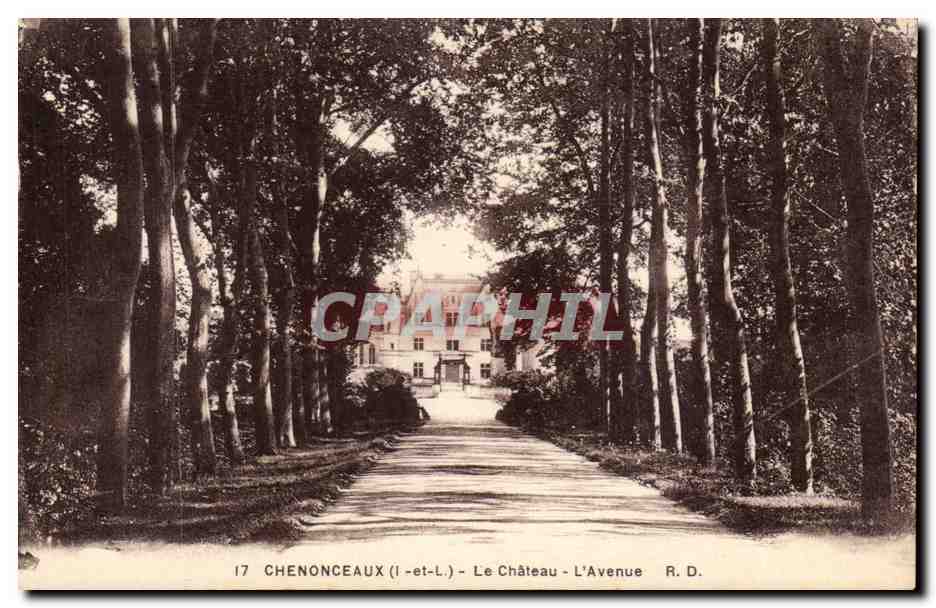 Chenonceaux - Le Chateau - L'Avenue - CPA 