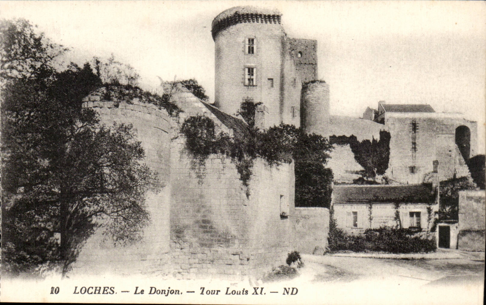 Chateau de Loches -Le Donjon - Tour Louis XI CPA 