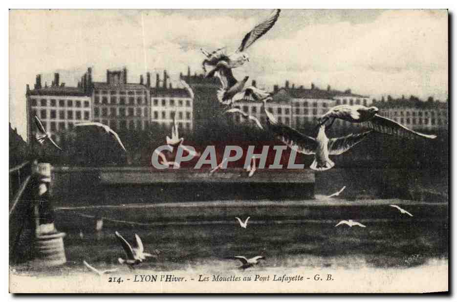 Lyon - L'Hiver - Les Mouettes au Pont Lafayette - CPA 