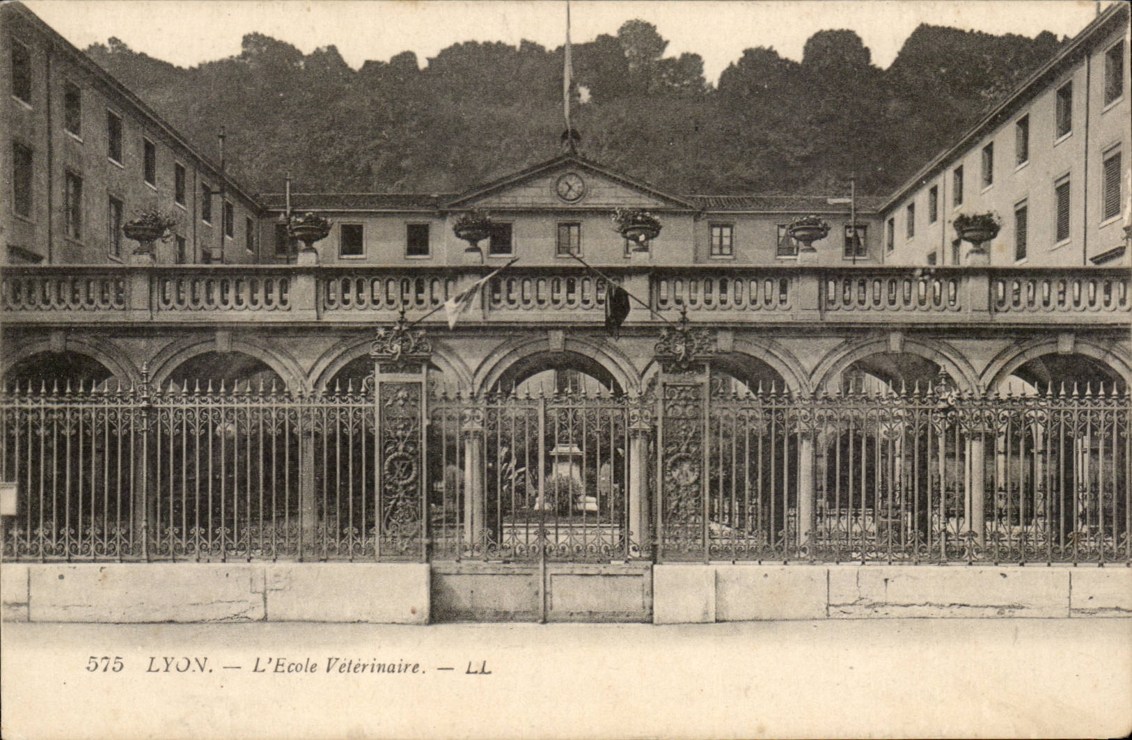 Lyon — L'École Vétérinaire — LL