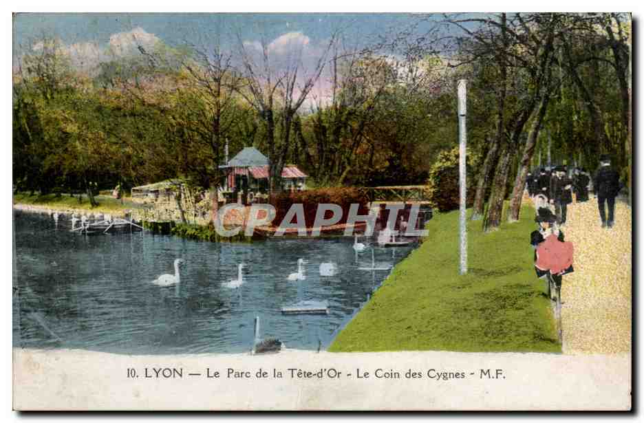 Lyon - Le Parc de la Tete d'Or - Le Coin des Cygnes - CPA 