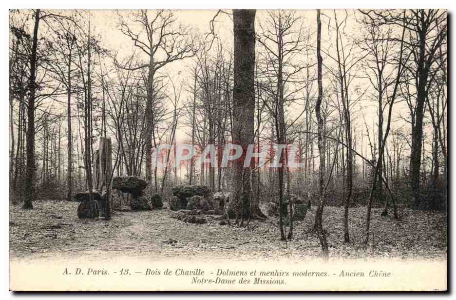 CPA Menhir Dolmen Bois de chaville Dolmens et menhirs modernes Ancien chene Notre DAme des missions
