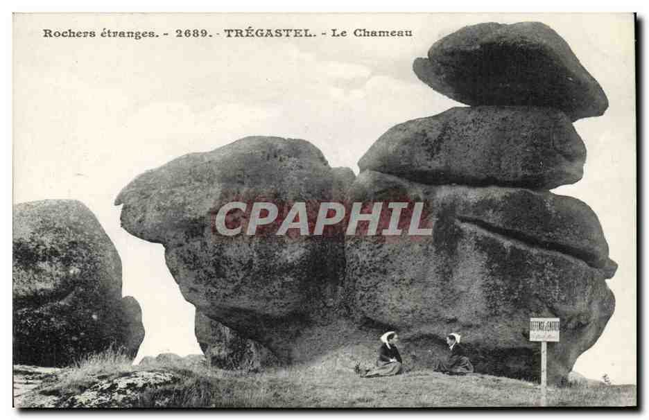 CPA Menhir Dolmen Tregastel Le chameau