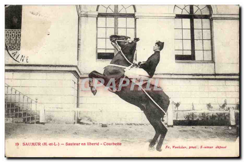 Saumur CPA SAuteur en liberte Courbette (cavalier cheval hippisme)