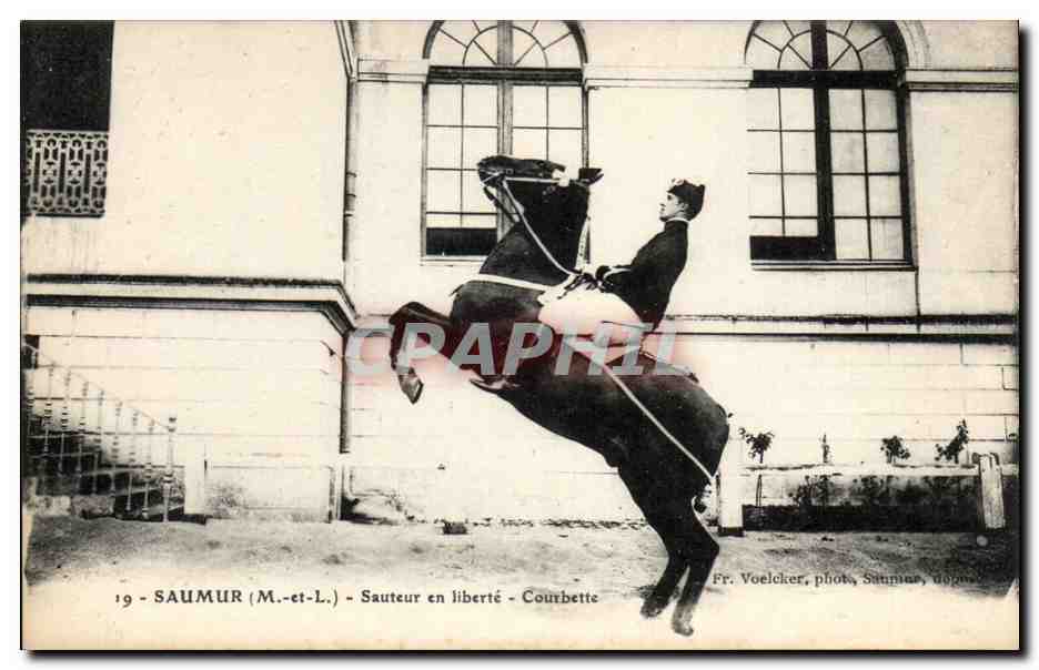 Saumur CPA SAuteur en liberte Courbette