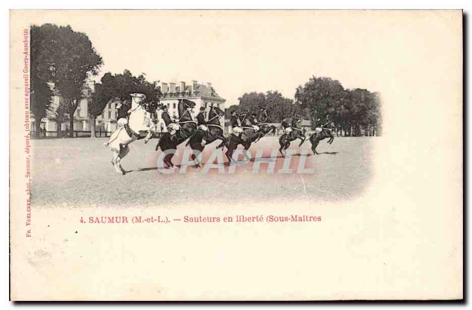 Saumur CPA SAuteurs en liberte Sous maitres (cheval hippisme)