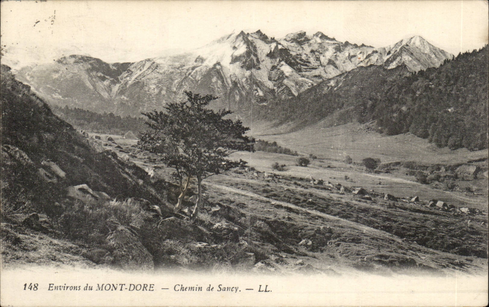 Le Mont Dore - Chemin de Sancy - CPA 