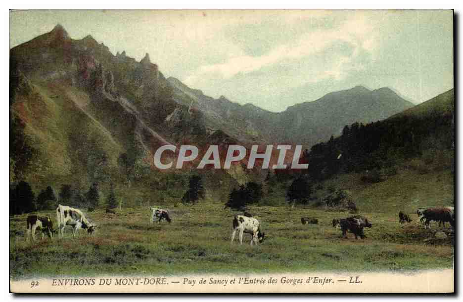 CPA Environs du Mont Dore Puy de Sancy et l'entree des gorges d'enfer (vaches)