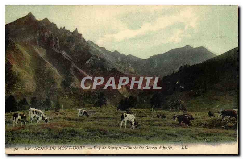 CPA Environs du Mont Dore Puy de Sancy et l'entree des gorges d'enfer (vaches)