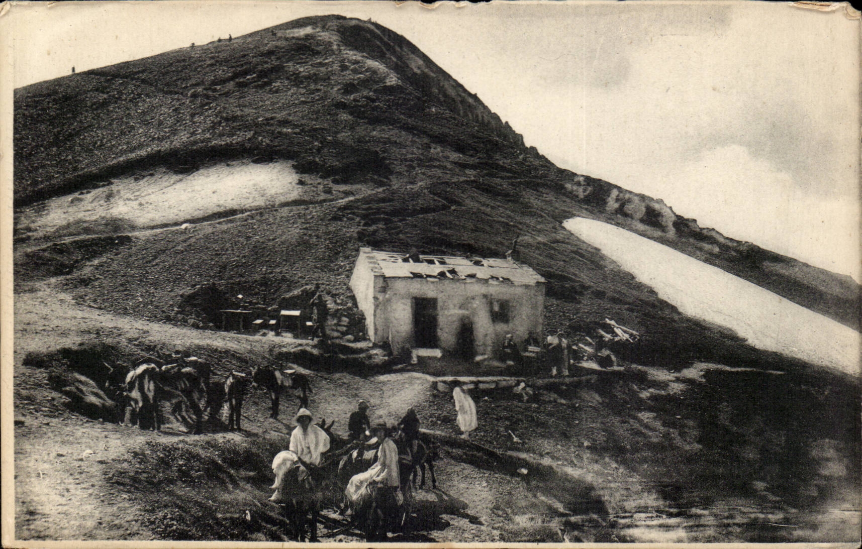 CPA Auvergne Sommet du Sancy Le refuge (ane donkey)