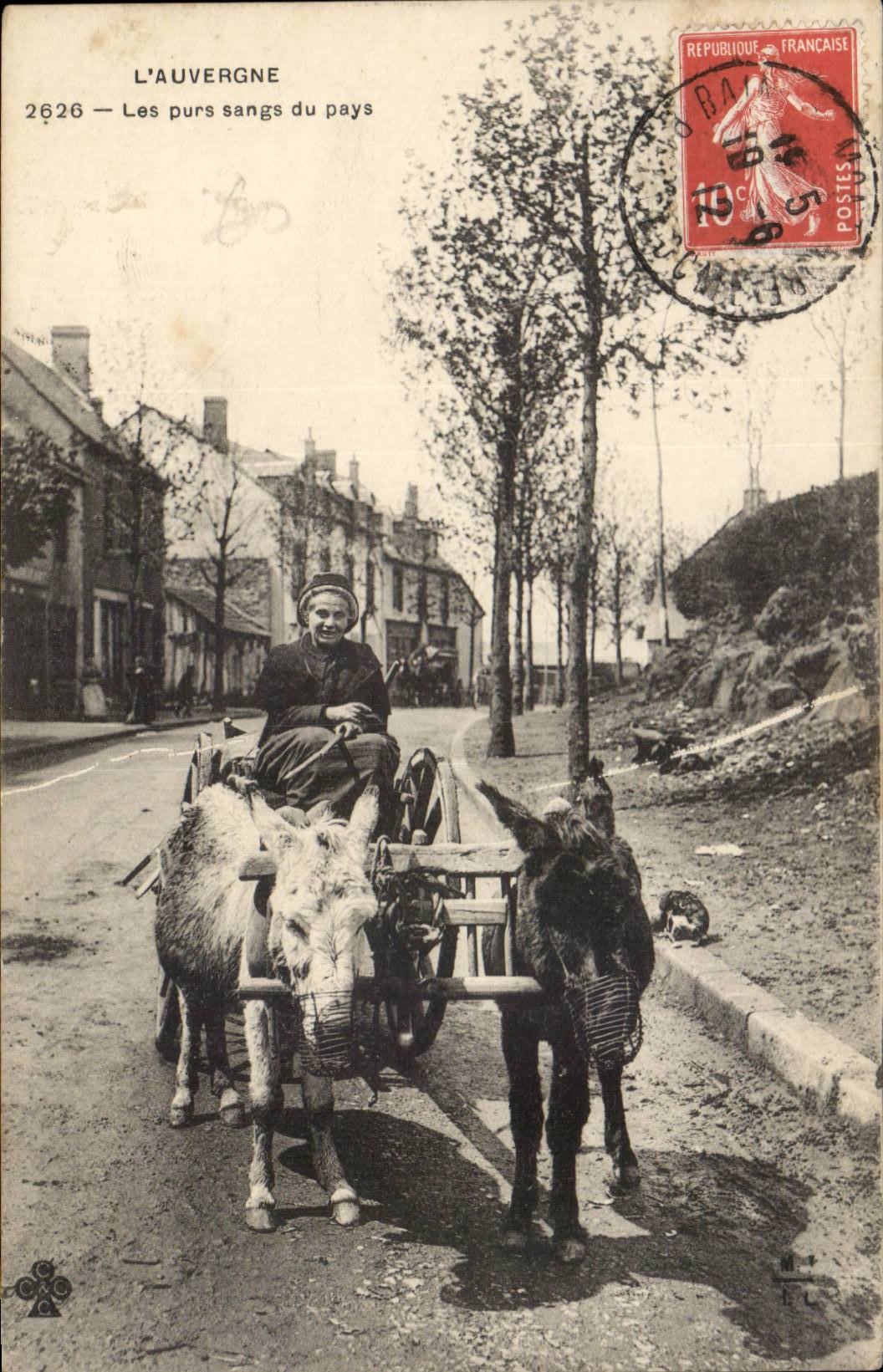 CPA Auvergne Les purs sangs du pays Ane donkey TOP