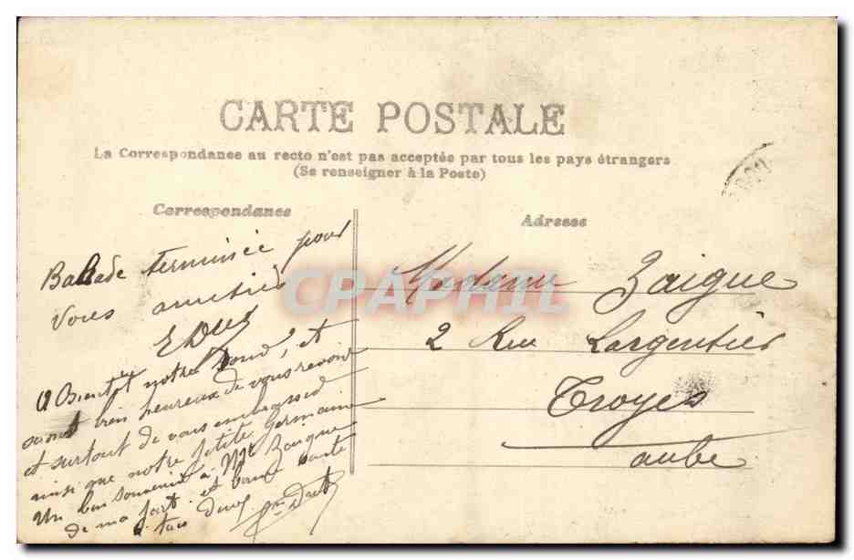 CPA Auvergne Les purs sangs du pays Ane donkey TOP — Rückseite
