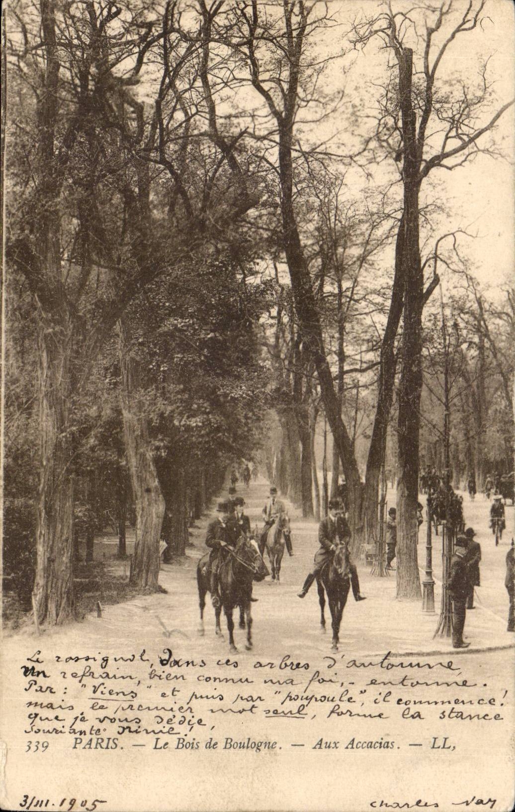 Paris 16 - Le Bois de Boulogne - aux Accacias - cheval CPA 