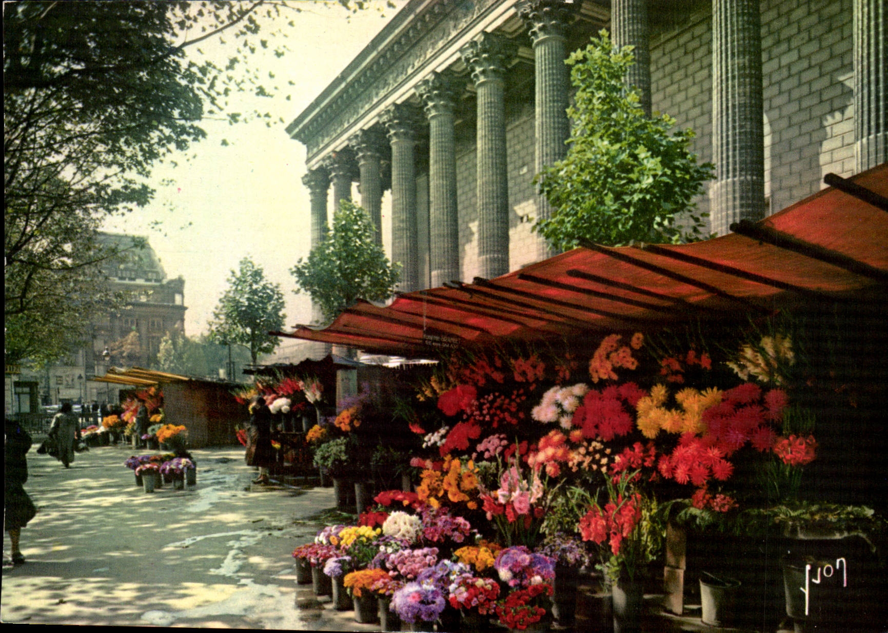 Paris 8 - Marche aux Fleurs de la Madeleine CPA 