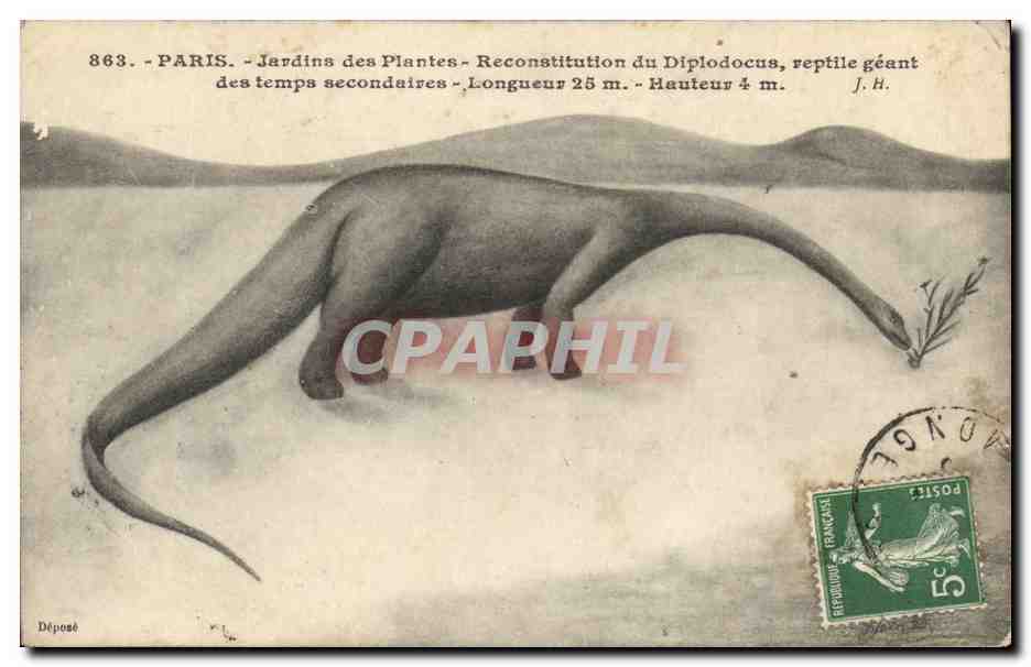 Paris - 5 - Jardin es Plantes - dinosaur - reconstitution de diplodocus - reptile geant des temps secondaire - CPA 