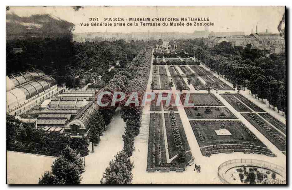 Paris - 5 - Musee d'Histoire Naturelle Vue generale prise de la Terrasse de Musee du Zoologie - CPA 