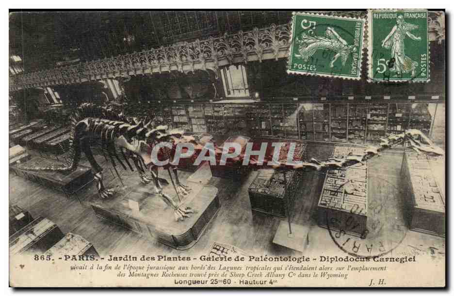 Paris 5 - Jardin des Plantes - Galerie de Paleontologie - Dinosaur - Dinosaurier - CPA 